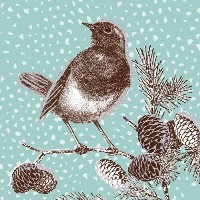 Charity Christmas card RSPB.jpg Charity Christmas card RSPB.jpg
